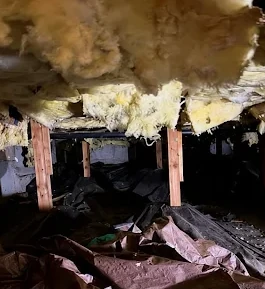 Crawl space before cleanup and repair